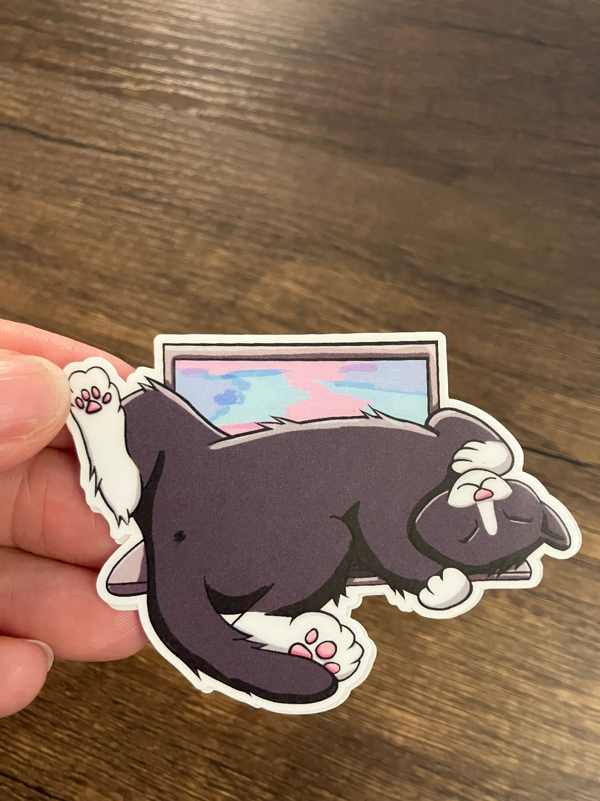 Funny Cat Stickers