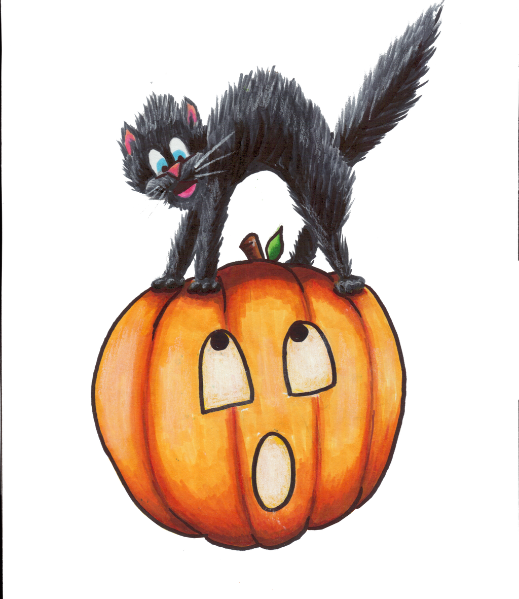 Scared Cat on Pumpkin